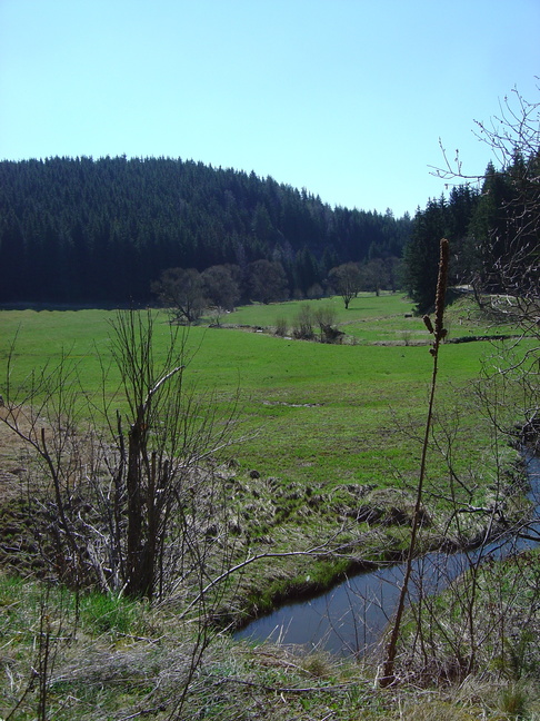 DSC07963